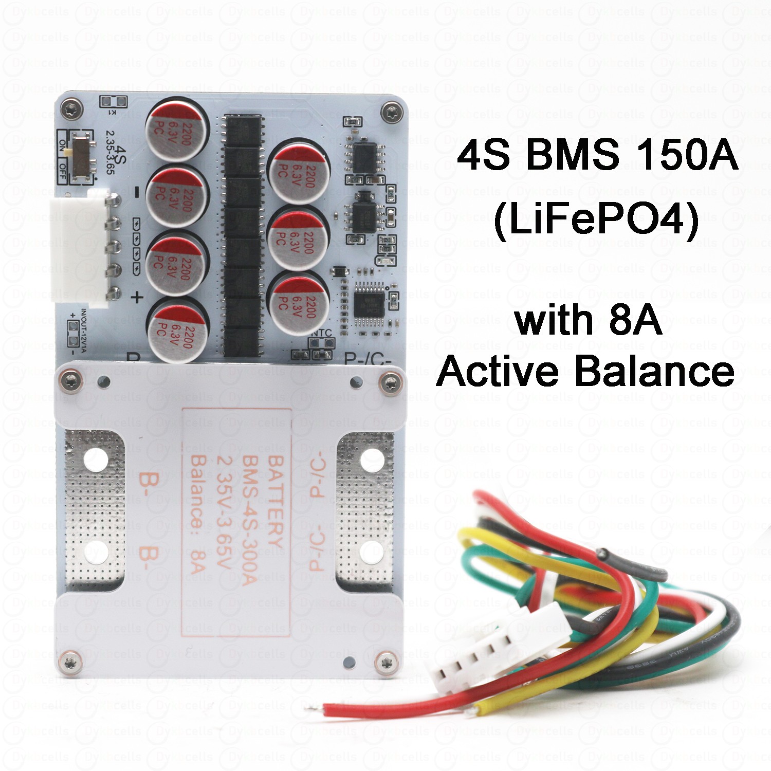 Audio Music Equalizer - BSM 4S 150A LiFePO4 리튬 배터리